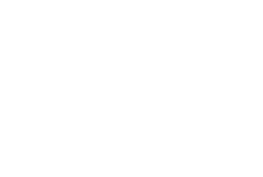 NELKUHR LOGISTICS